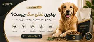 بهترین غذای سگ چیست؟ راهنمای کامل انتخاب غذای مناسب برای سگ